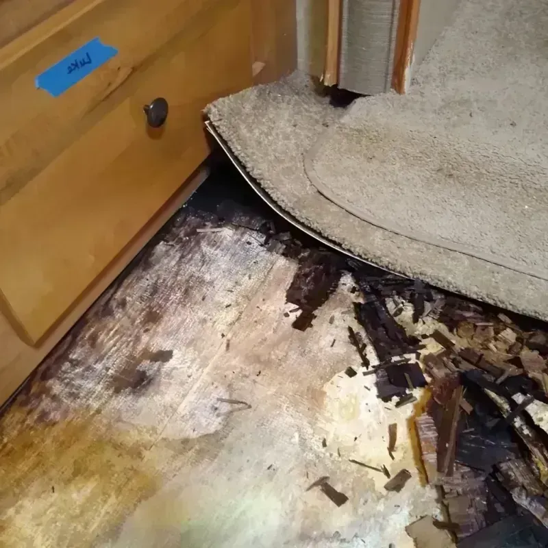 Wood Floor Water Damage in San Jose, CA